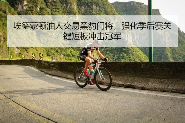 埃德蒙顿油人交易黑豹门将，强化季后赛关键短板冲击冠军